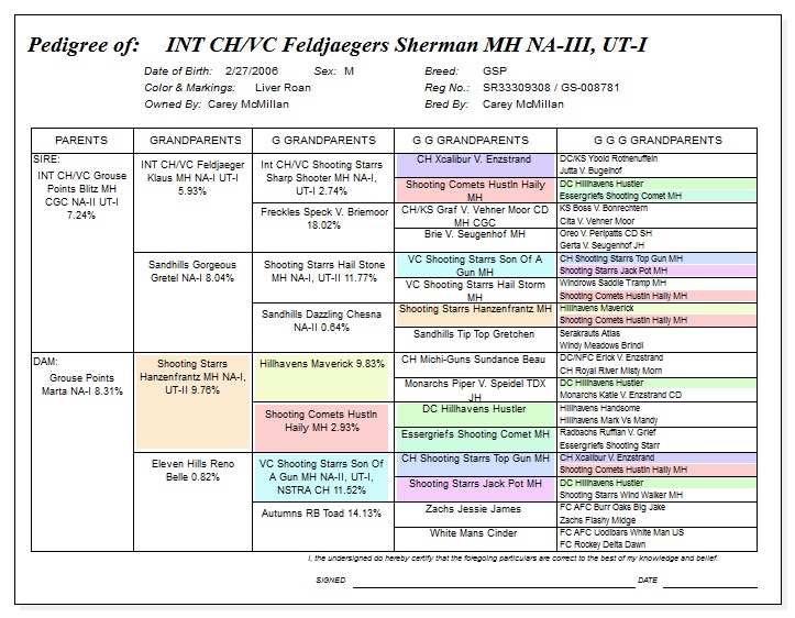 Pedegree for Feldjaeger's Sherman