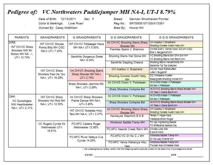 Pedegree for Northwaters Puddlejumper
