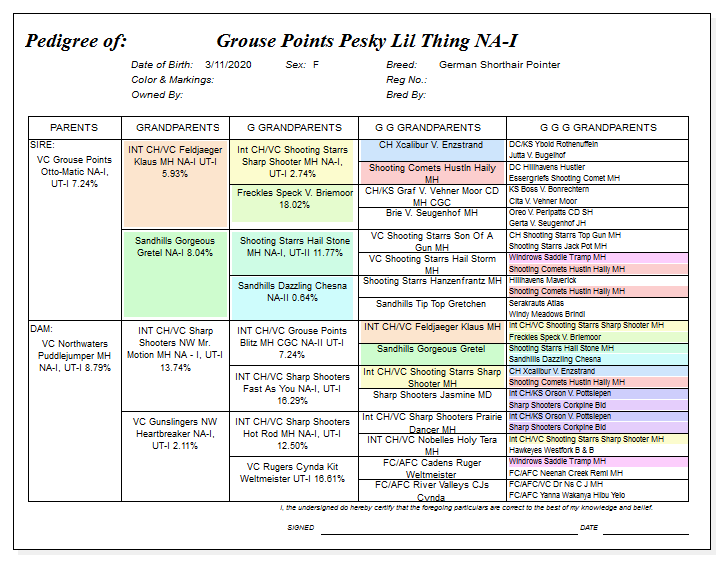 Pedegree for Grouse Points Pesky Lil Thing