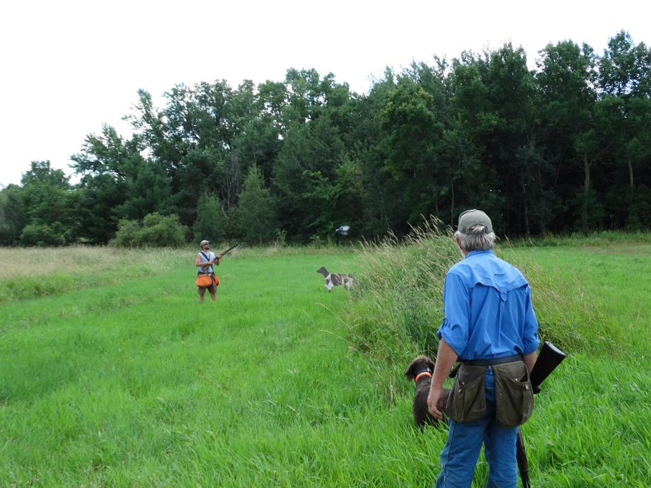 Gun Dog Training in Rice Lake, WI