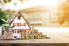 Budget-Friendly Water, Fire, and Mold Damage Restoration Tips