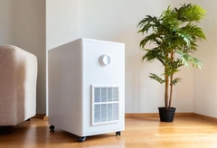 Restoration Renaissance: Exploring the Latest Equipment and Techniques for Efficient Property Recovery