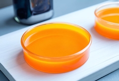 Are Home Mold Test Kits Accurate? 10 Pros and Cons