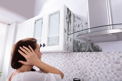 Signs That It Is Time to Call a Mold Remediation Specialist