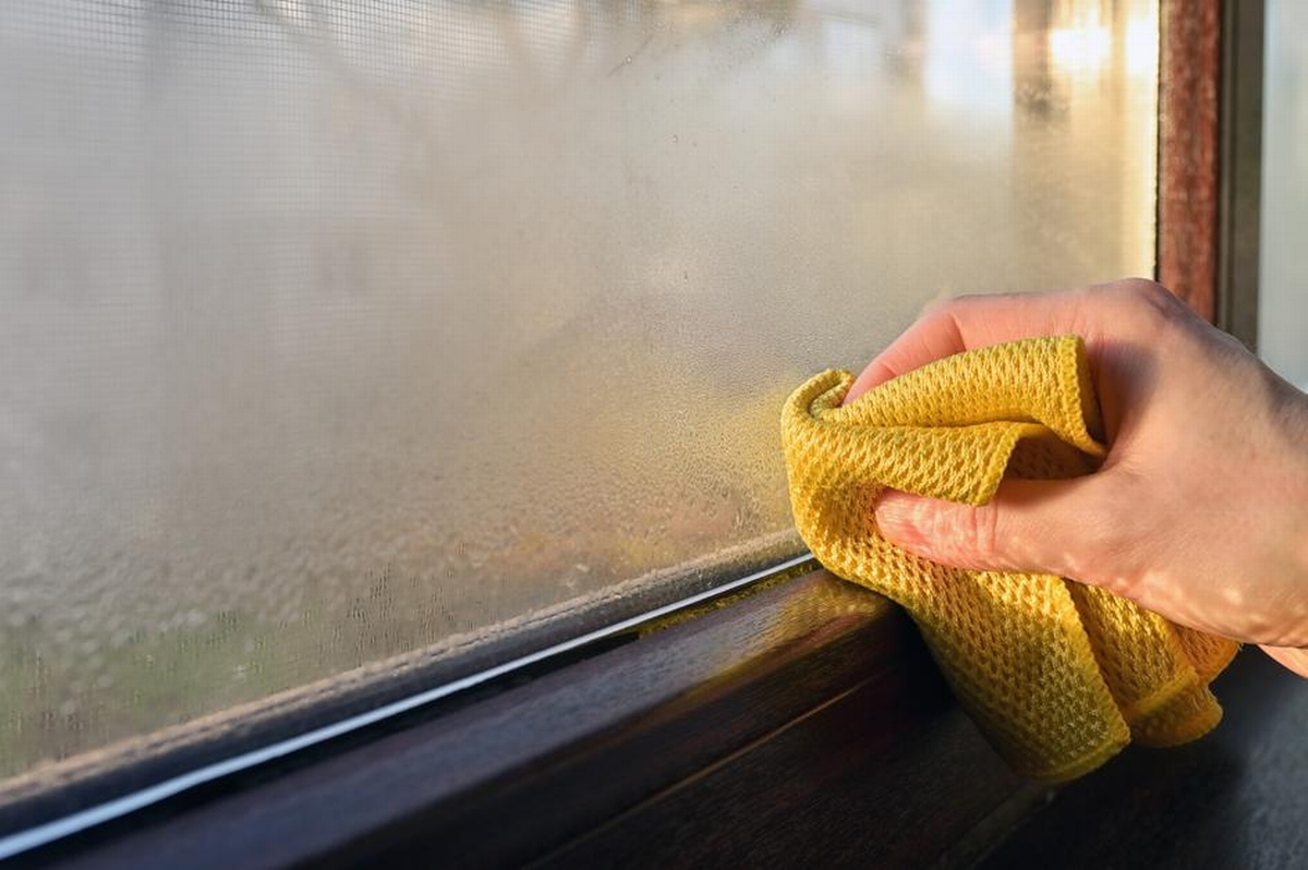 Can Mold Grow on Water and How It Spreads
