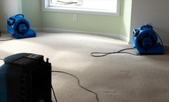 Carpets and Water Damage Restoration: What to Expect