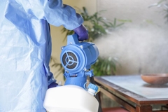 Can Steam Cleaning Kill Mold Effectively?