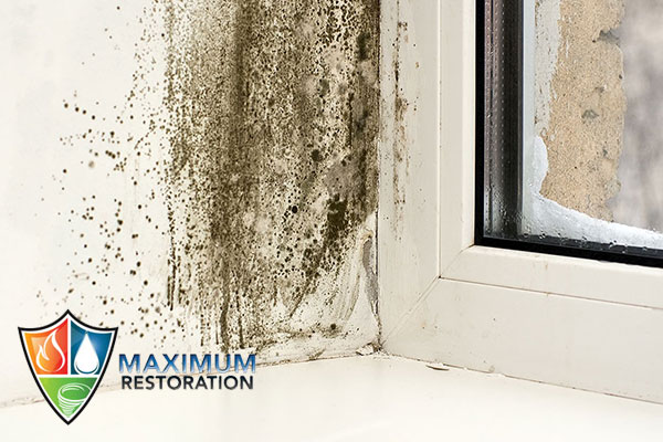 mold remediation in Trotwood, OH
