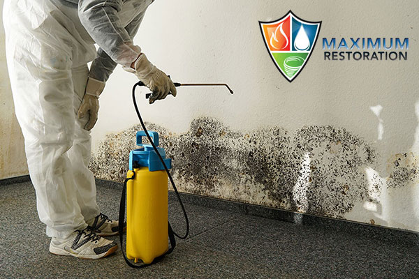 mold removal in Miamisburg, OH