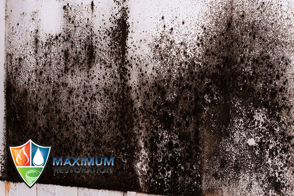 mold mitigation in Centerville, OH