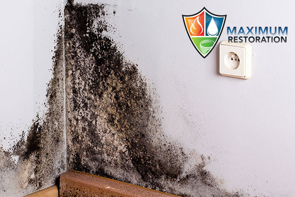mold removal in Riverside, OH