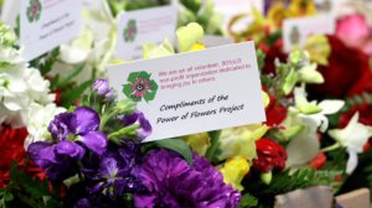 Meeting With The Powers of Flowers Project