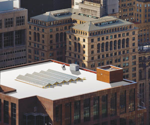 Gaf Everguard Tpo Roofing Membrane 60mil 10 X100 Tan
