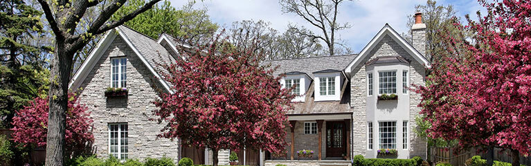 Shingle Roofing