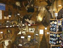 gifts and souvenirs at Tom's Logging Camp