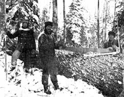 logging history