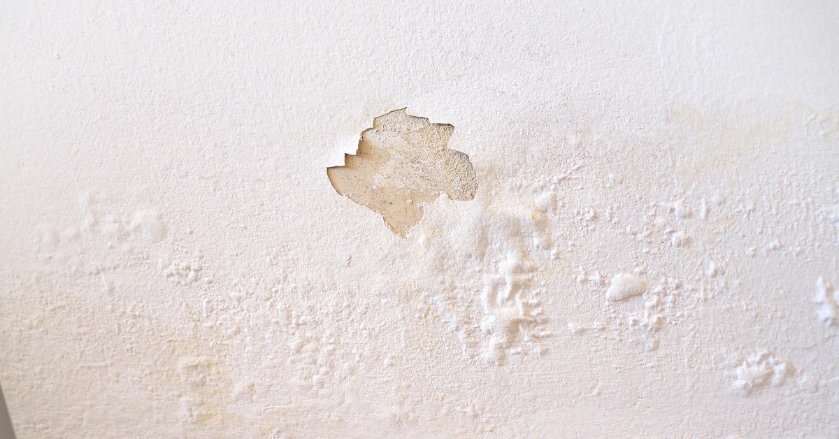 Water Damage in Plaster Walls vs. Drywall. What’s the Difference Featured Image