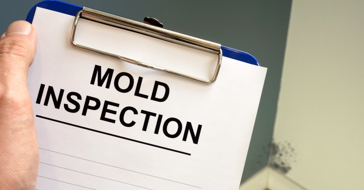 Mold and Real Estate Transactions: Buyers and Sellers Guide Featured Image