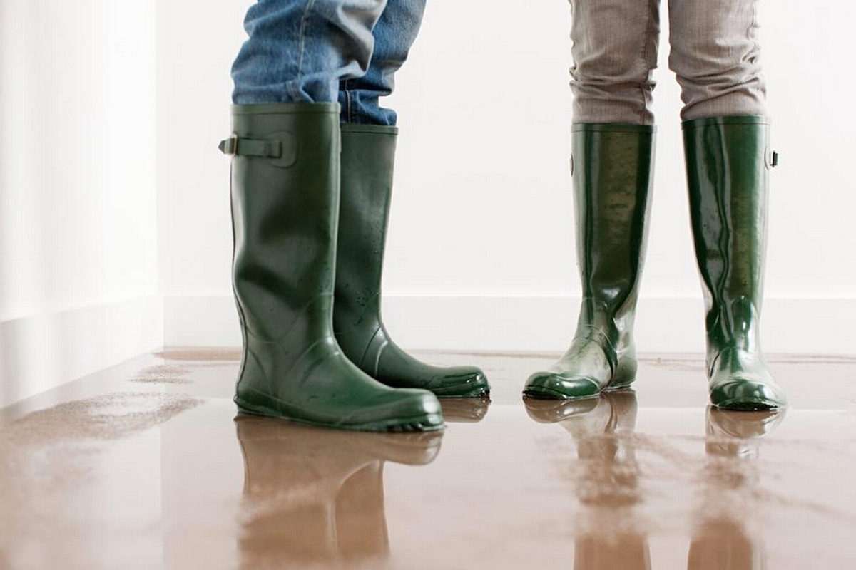The Hidden Cost of Water Intrusion: Top Tips for Homeowners to Minimize Long-term Damage