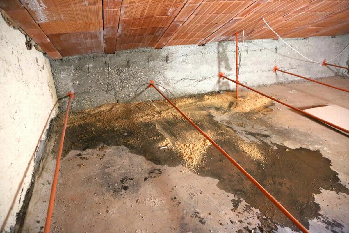 Diagnosing Attic Moisture: Condensation or Roof Leak? Featured Image