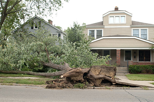 Storm Damage Restoration