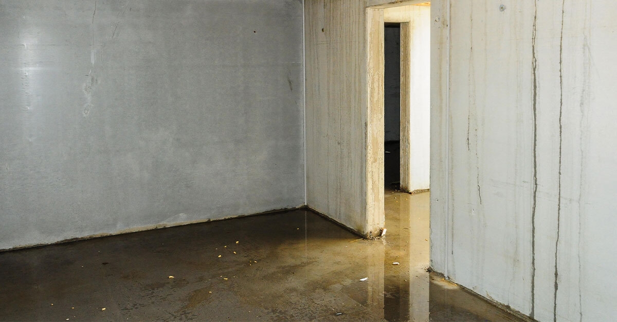 What’s Causing Water In Your Basement or Crawlspace? Featured Image