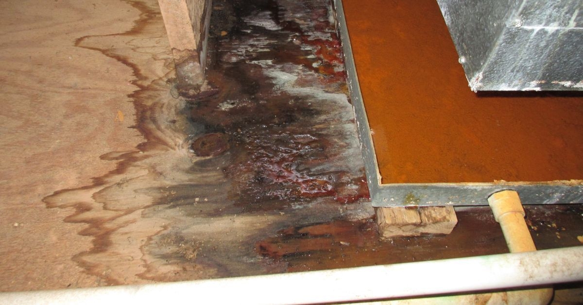Clean, Gray, and Black Water Contamination Damage Featured Image