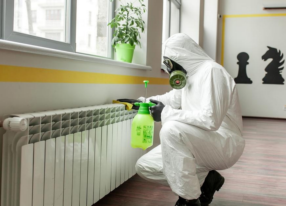 The Rise of Mold Prevention Technologies: Keeping Homes and Businesses Mold-Free