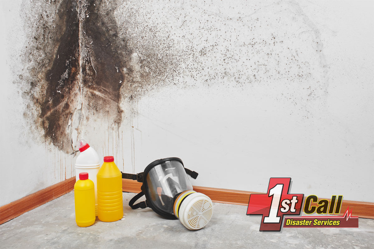 Mold Removal in Fort Wright, KY