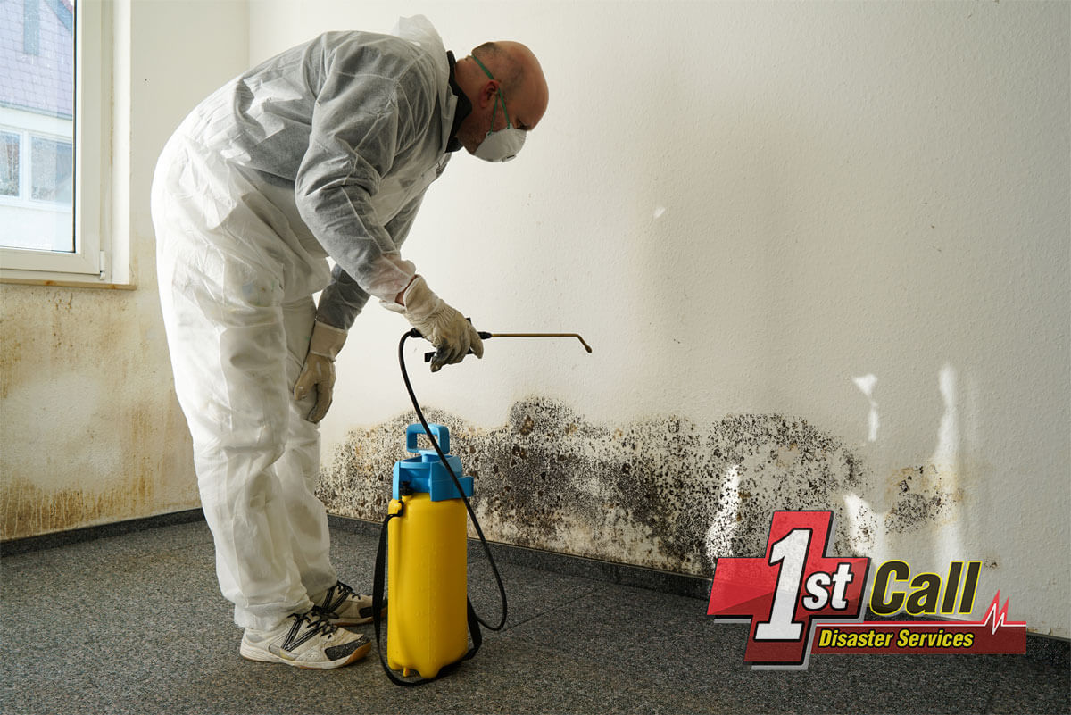 Mold Abatement in Covington, KY