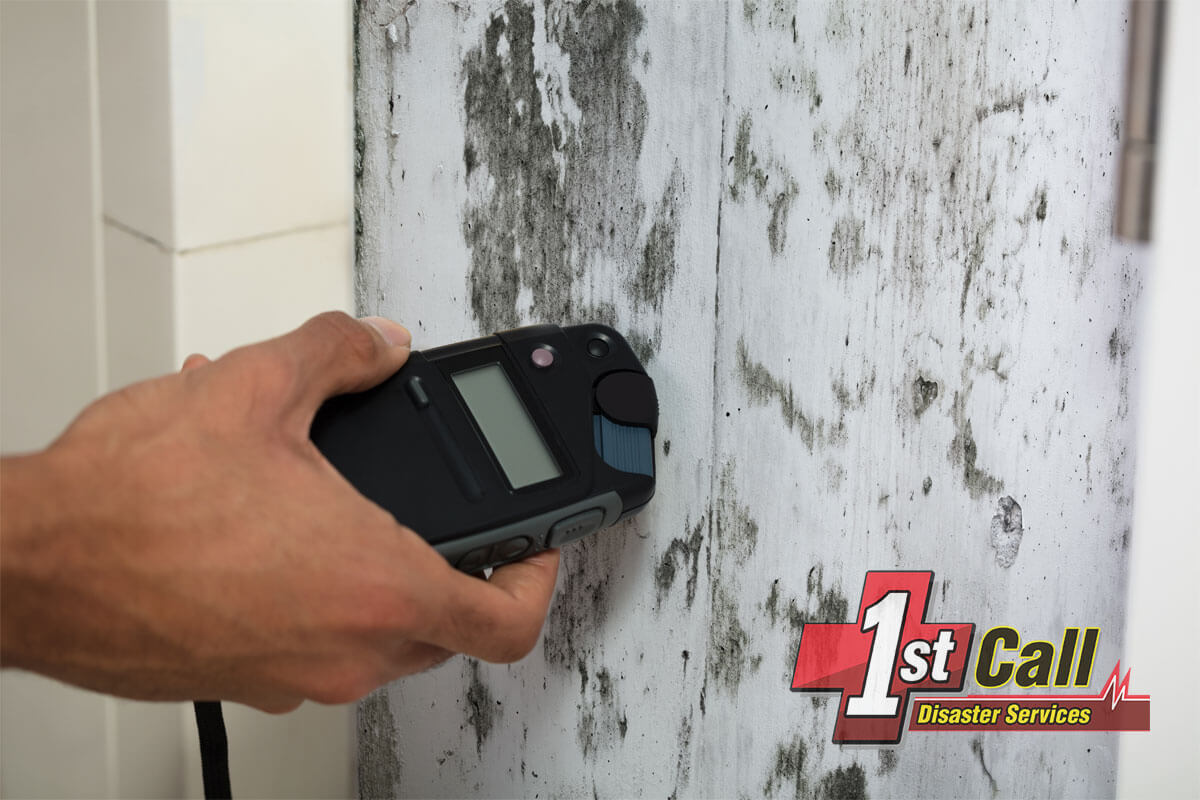 Mold Remediation in Florence, KY