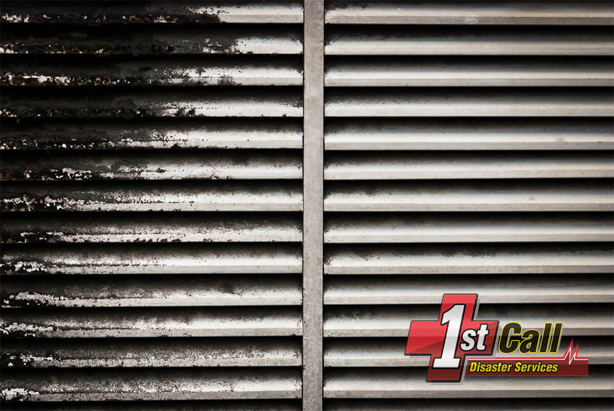 Mold Abatement in Erlanger, KY