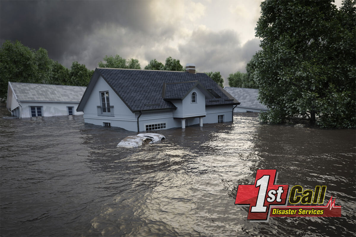 Water Damage Restoration in Newport, KY