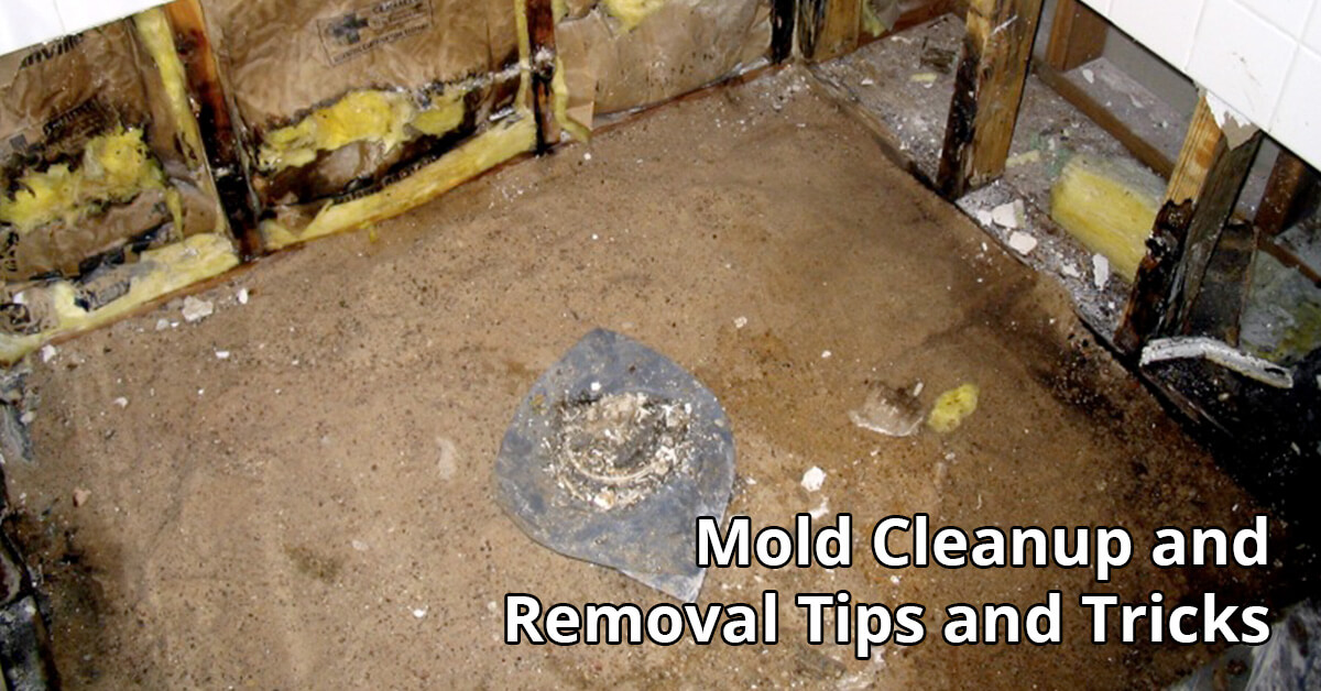 Mold Remediation Tips in Lexington, KY