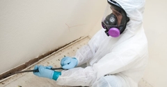 All About Mold Series – #4 A Detailed Look at Mold Remediation