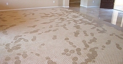 Water Damage Tips - How to Properly Treat Water Damaged Carpet