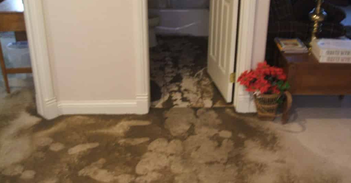 Sewer Odors in Your Home or Business and What To Do If You Have a Sewer or Septic System Backup…