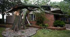 After Wind Damage, Your Insurance Company Requires That You Fix the Situation as Quickly As Possible to Prevent Further Damage!