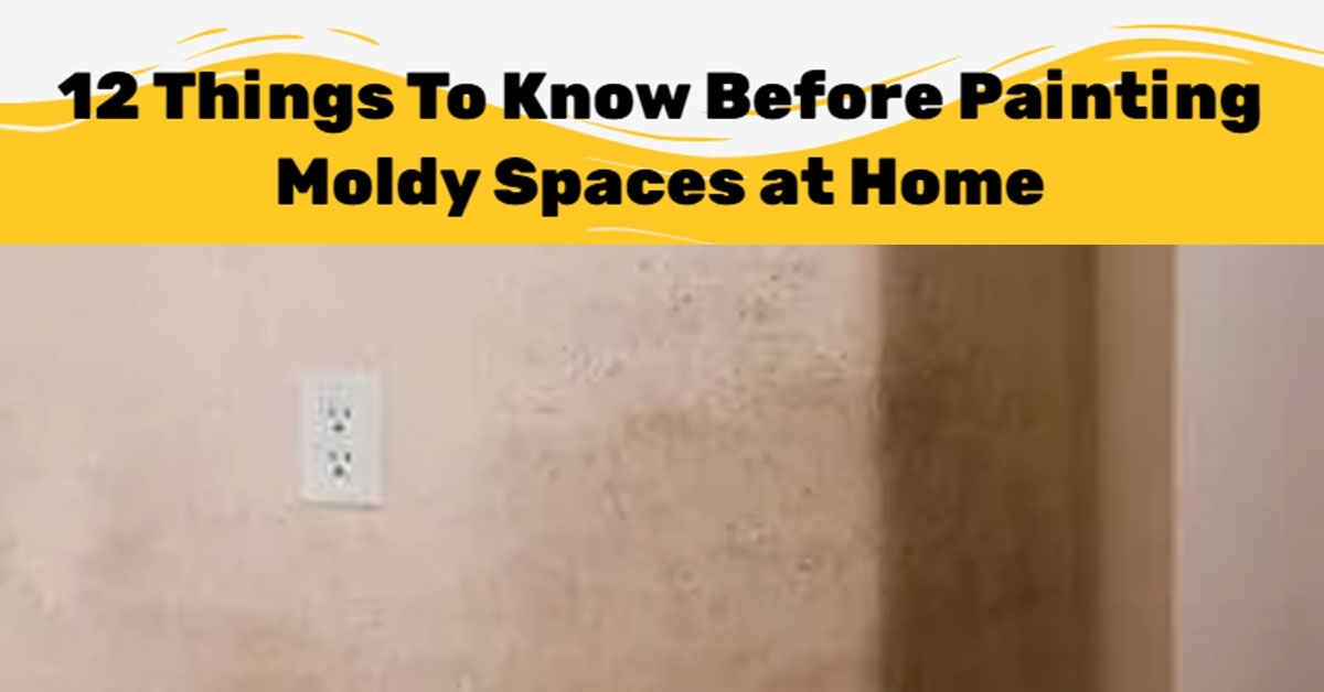 12 Things To Know Before Painting Moldy Spaces at Home