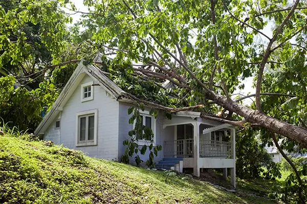 Storm Damage Restoration