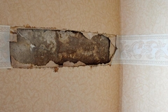 Water, Fire, and Mold Damage Myths Debunked: What You Need to Know