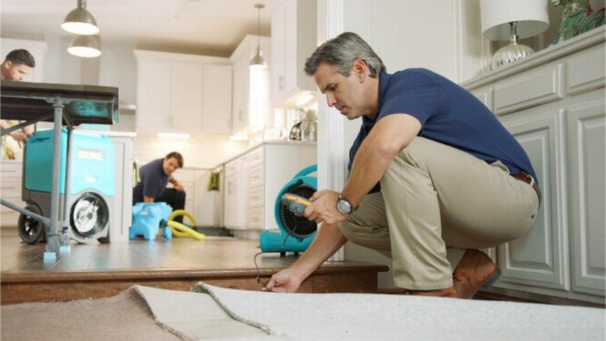 Choosing the Right Team: Certified vs. Non-Certified Restoration Specialists