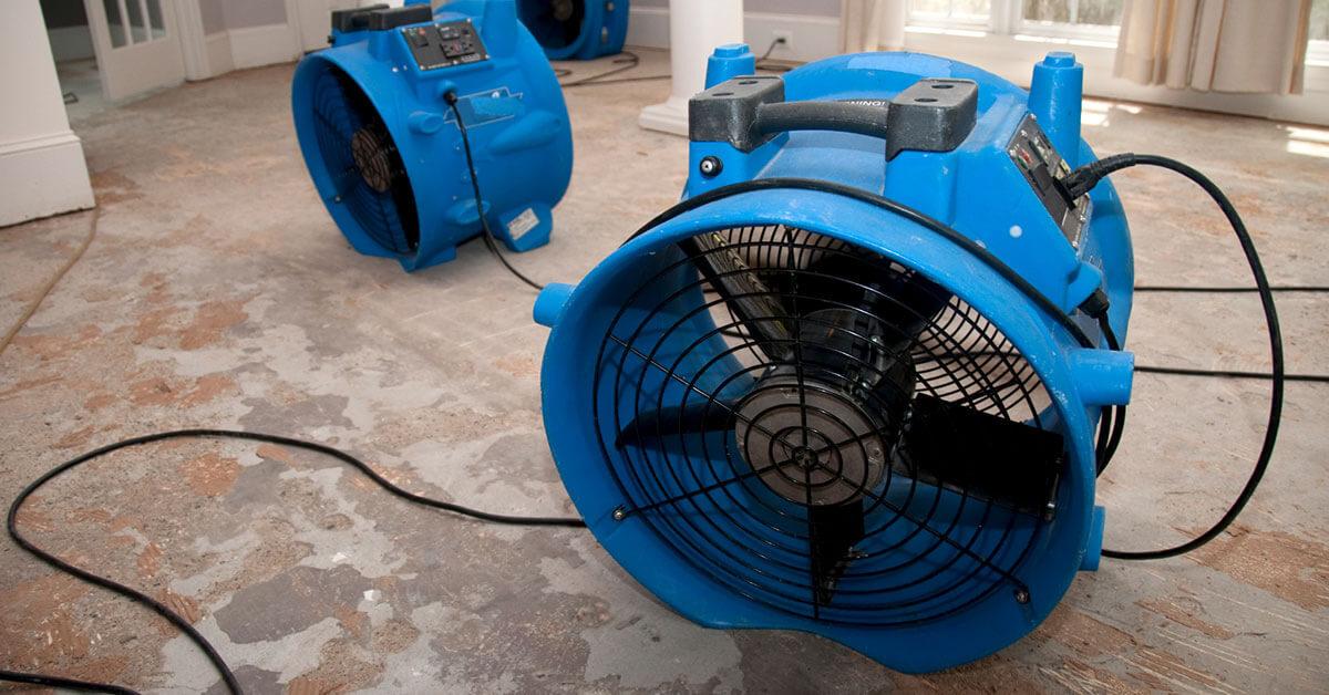 Dry Out: The Most Crucial Step in Water Damage Restoration