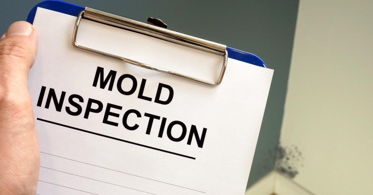  Mold and Real Estate Transactions: Buyers and Sellers Guide