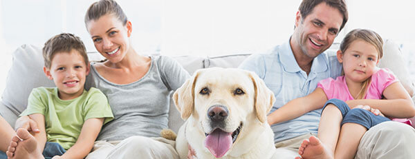 Keep a Clean, Healthy Home with Cleaning Services from ServiceMaster Restore Residential and Commercial Cleaning Services in Charlottesville, VA