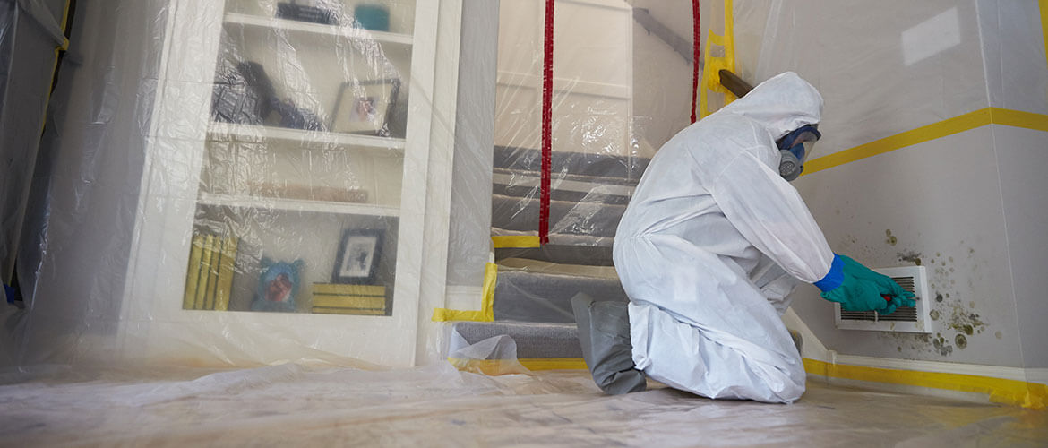Mold Remediation