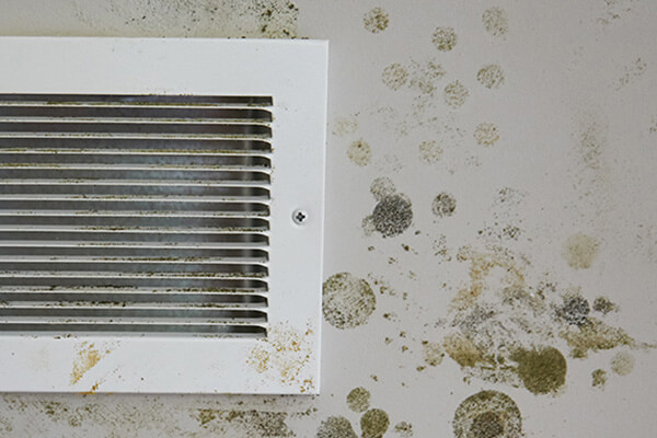 Mold Mitigation in Warrenton, VA