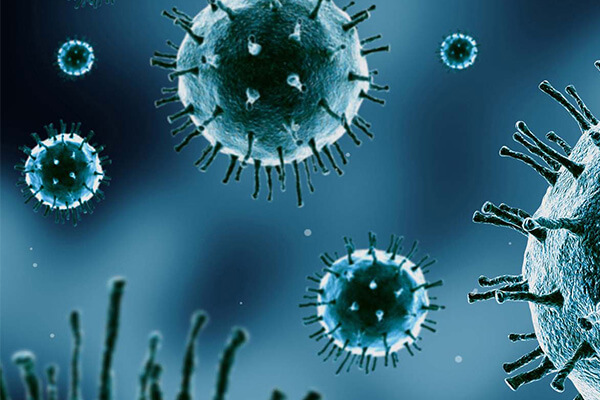 Mold Mitigation in Culpeper, VA