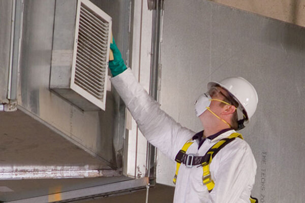 Mold Remediation in Mineral, VA