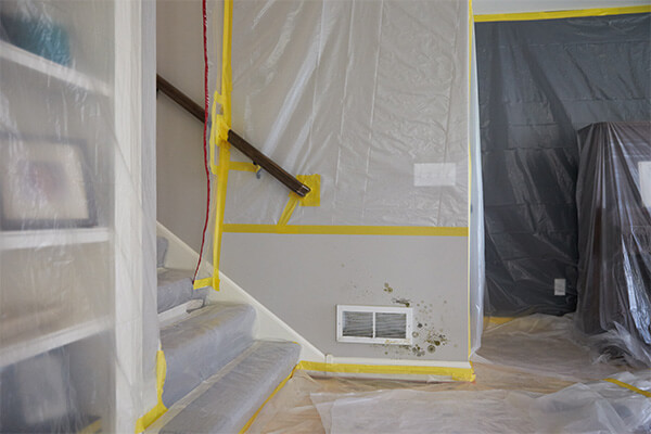 Mold Damage Restoration in Mineral, VA